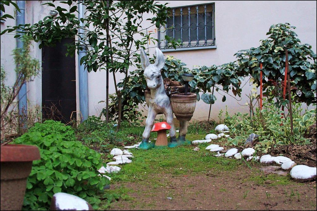 Guest House Mirza Mostar Bagian luar foto