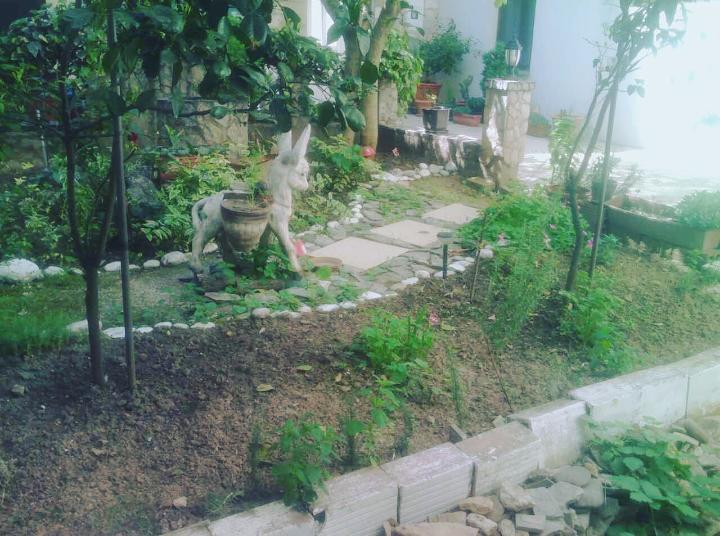 Guest House Mirza Mostar Bagian luar foto
